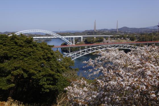 西海橋と新西海橋（桜）2