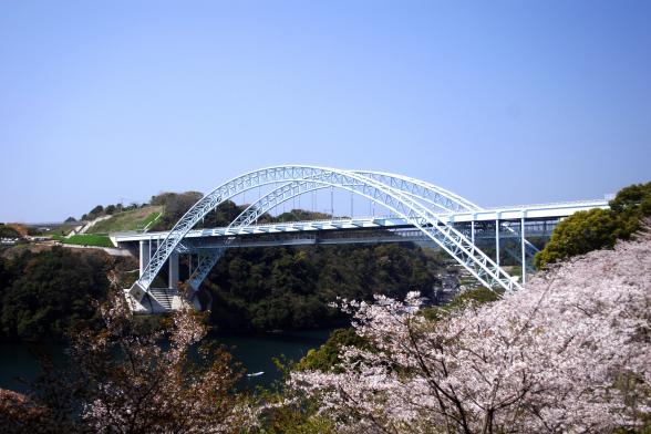 西海橋　桜2©SASEBO