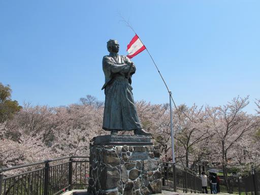 風頭公園　坂本龍馬之像と桜