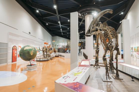 恐竜博物館©NAGASAKI CITY
