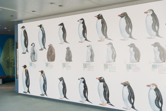 長崎ペンギン水族館©NAGGASAKI