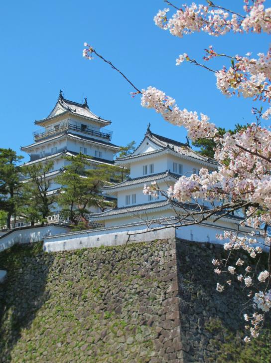 島原城と桜1