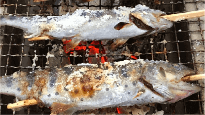 青龍の郷　ヤマメ釣り塩焼き体験