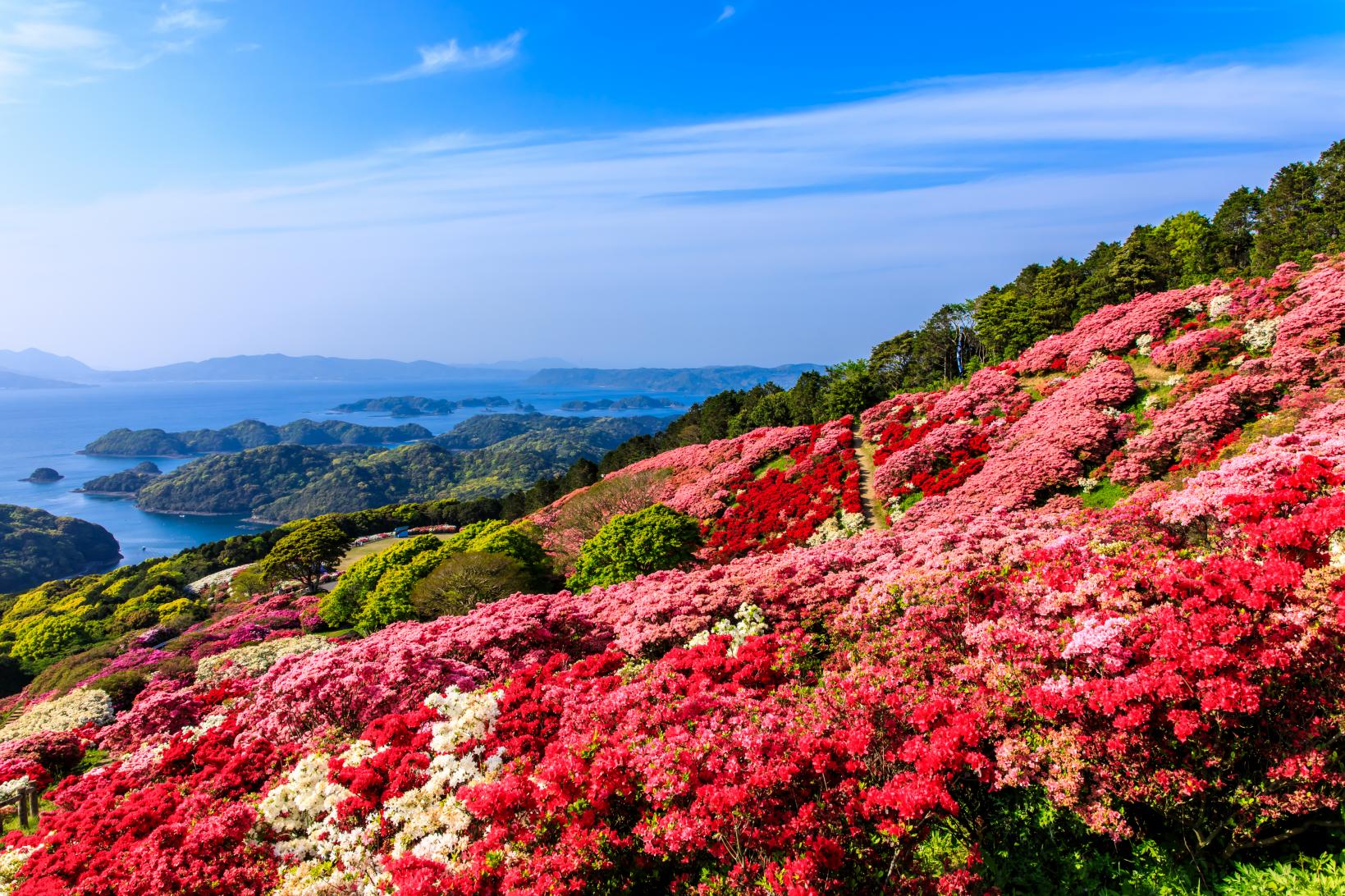 季節のおすすめ（春・夏）※佐世保市周辺