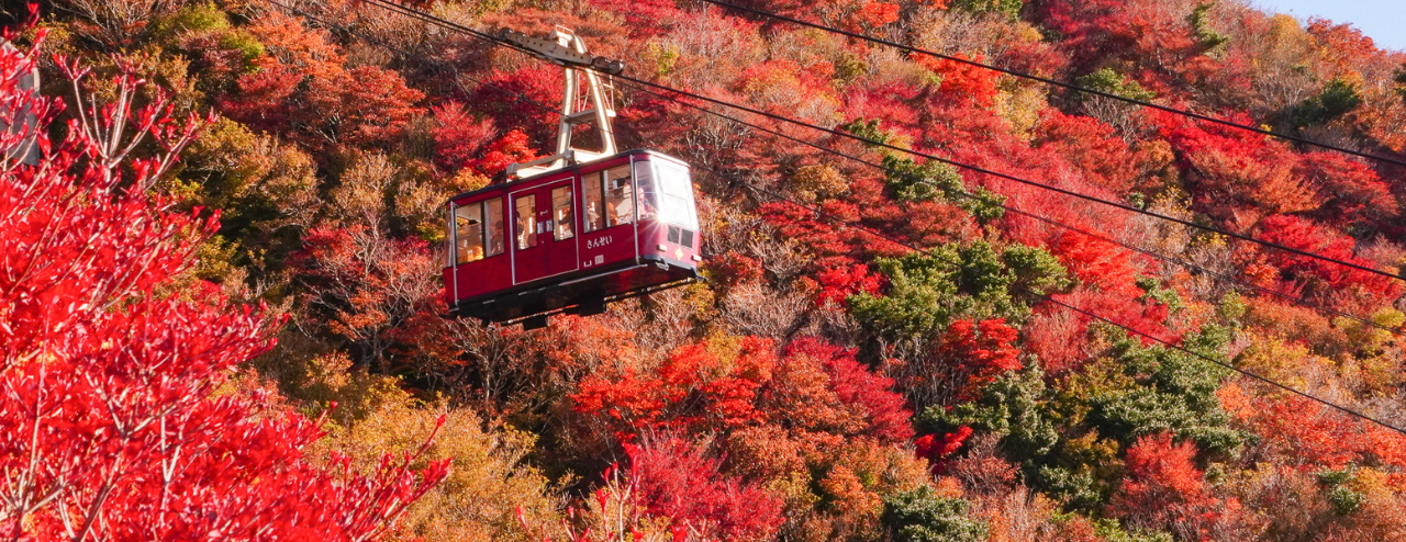 2026長崎県の紅葉スポット特集