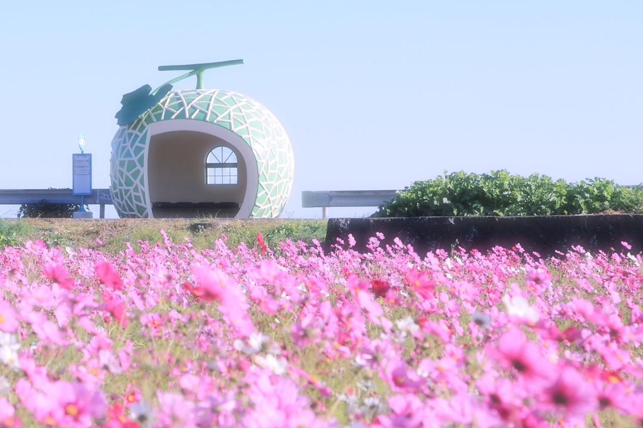 秋のおすすめ