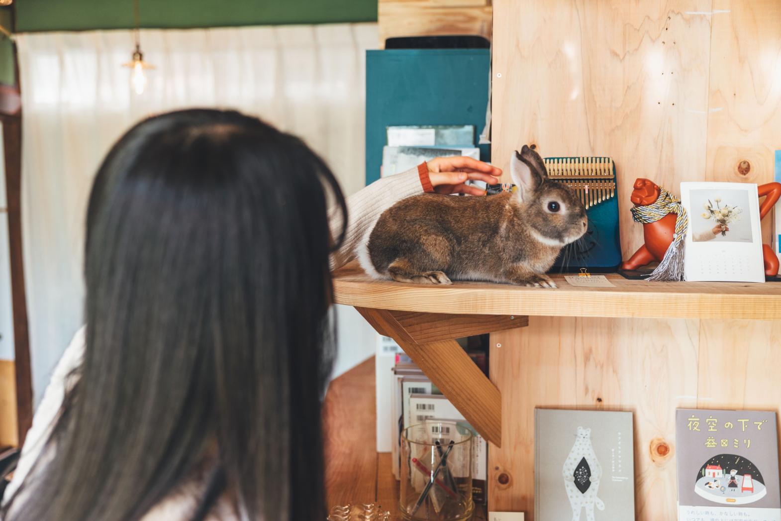 ネコとうさぎがいるメルヘン空間でわたしに還る-2