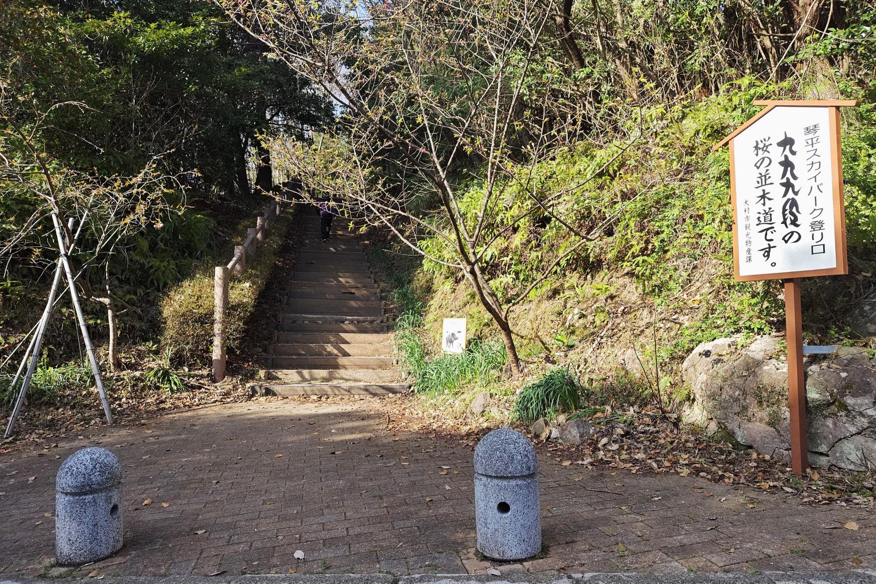 駐車場と入口はここ！-0