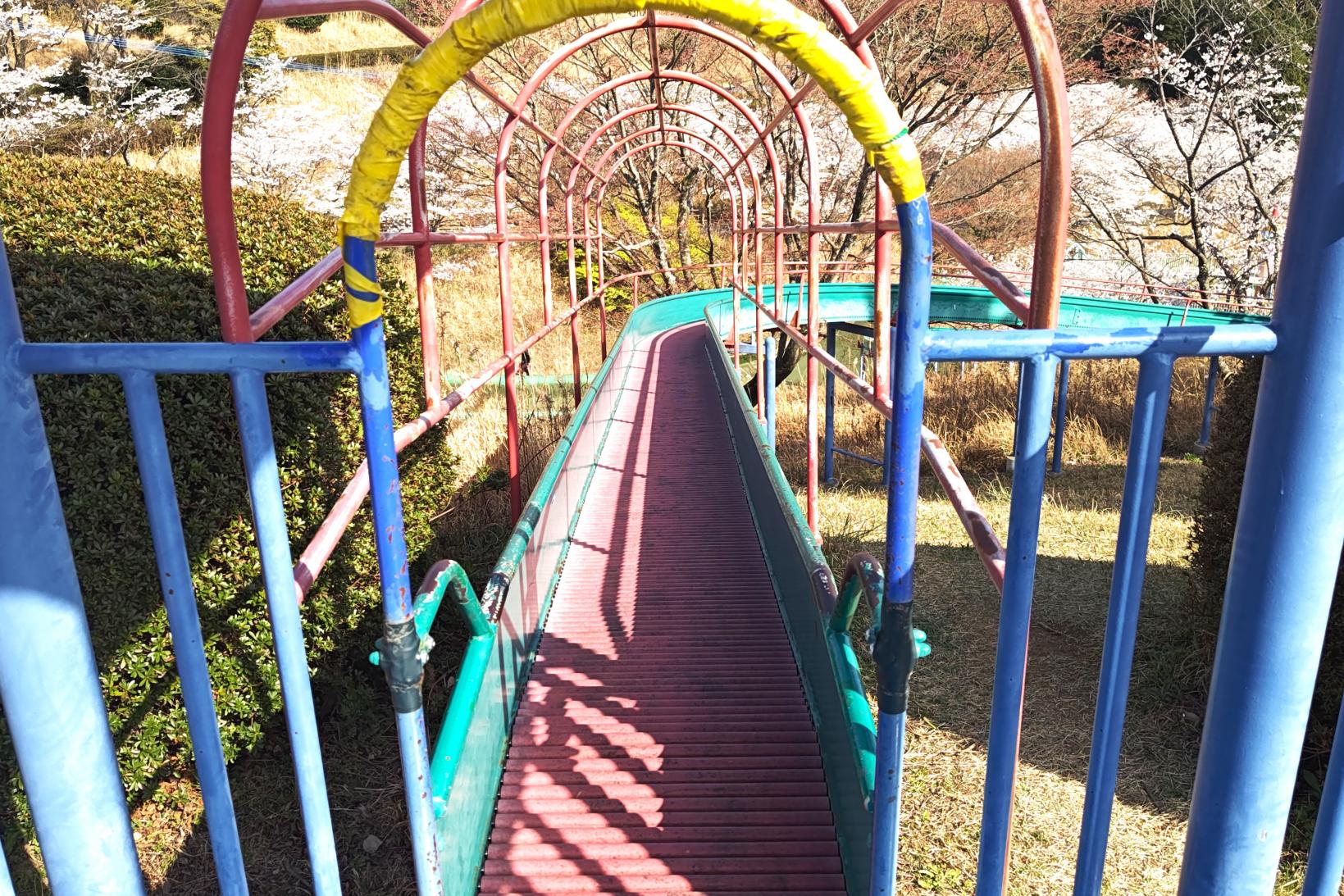 子どもから大人まで楽しめる琴平スカイパーク-0