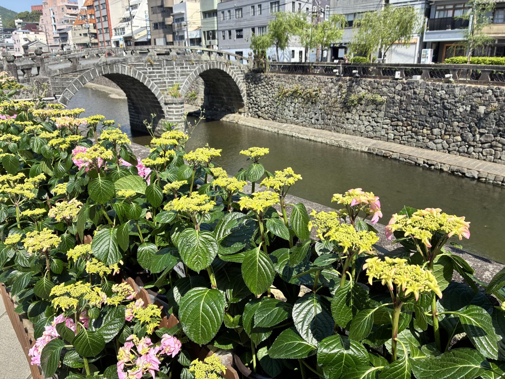 興福寺と眼鏡橋は目と鼻の先-0