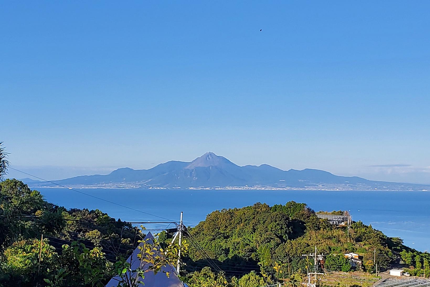 雲仙岳とミヤマキリシマ-0