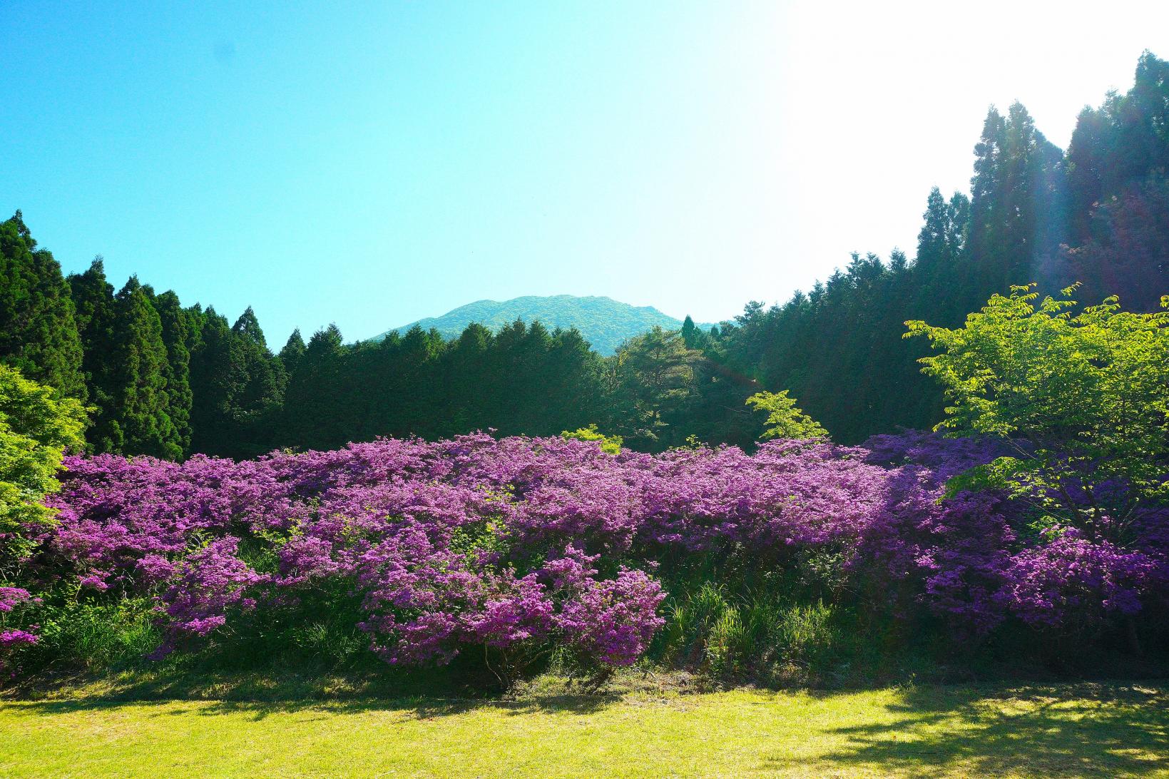 池ノ原園地に車を停めて登山スタート！-0