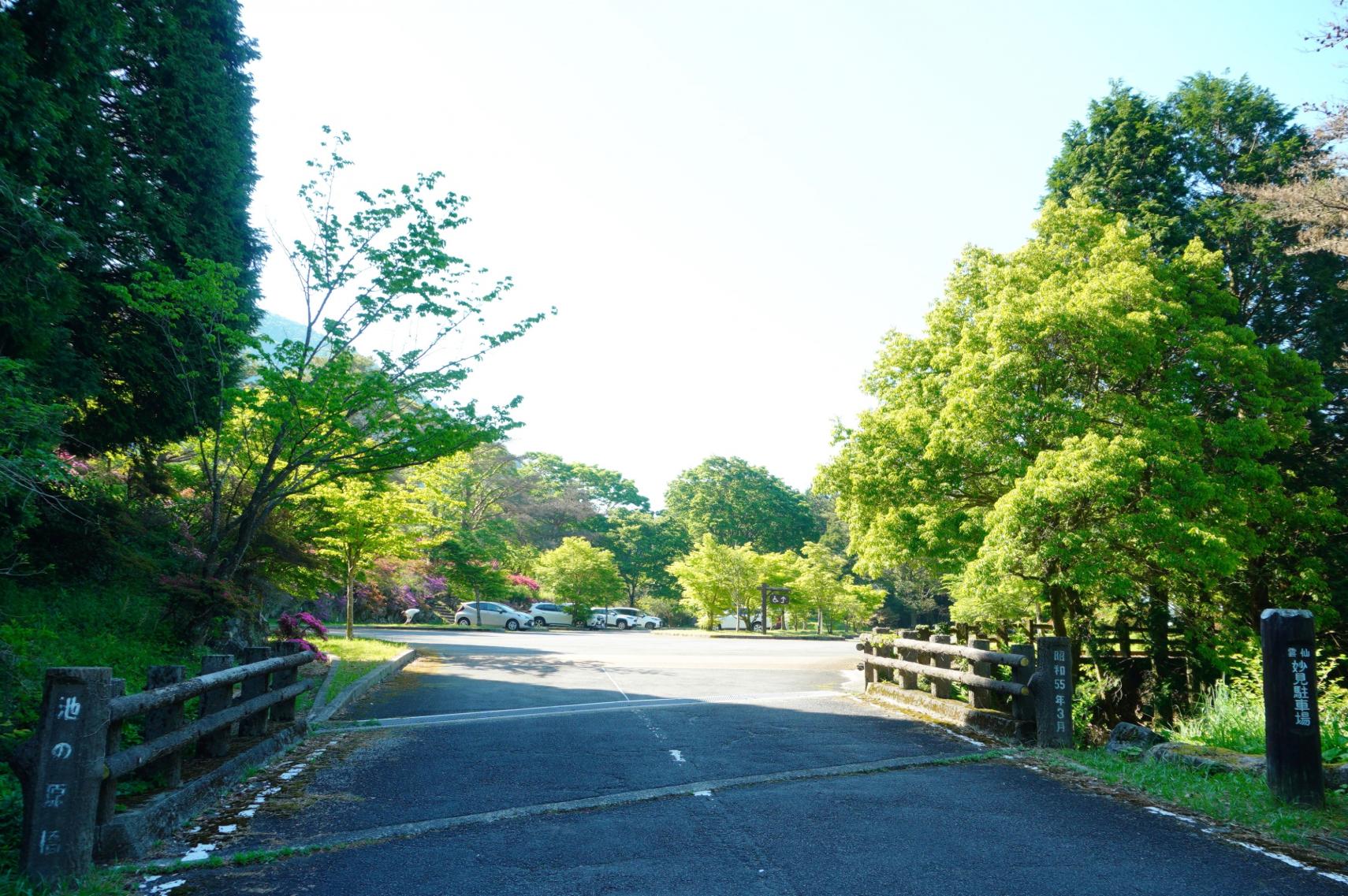 池ノ原園地に車を停めて登山スタート！-1