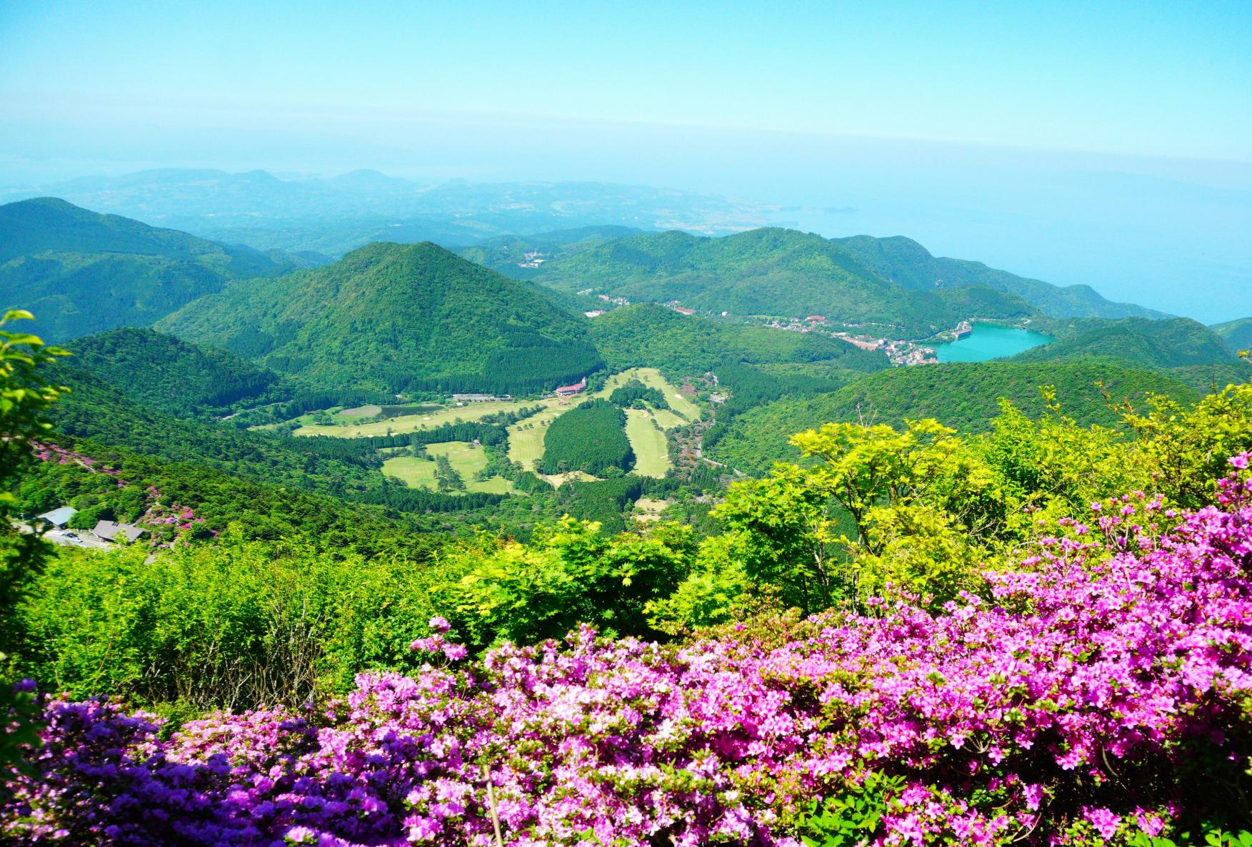 ミヤマキリシマ咲く絶景シーズンに雲仙普賢岳登山！駐車場から妙見岳