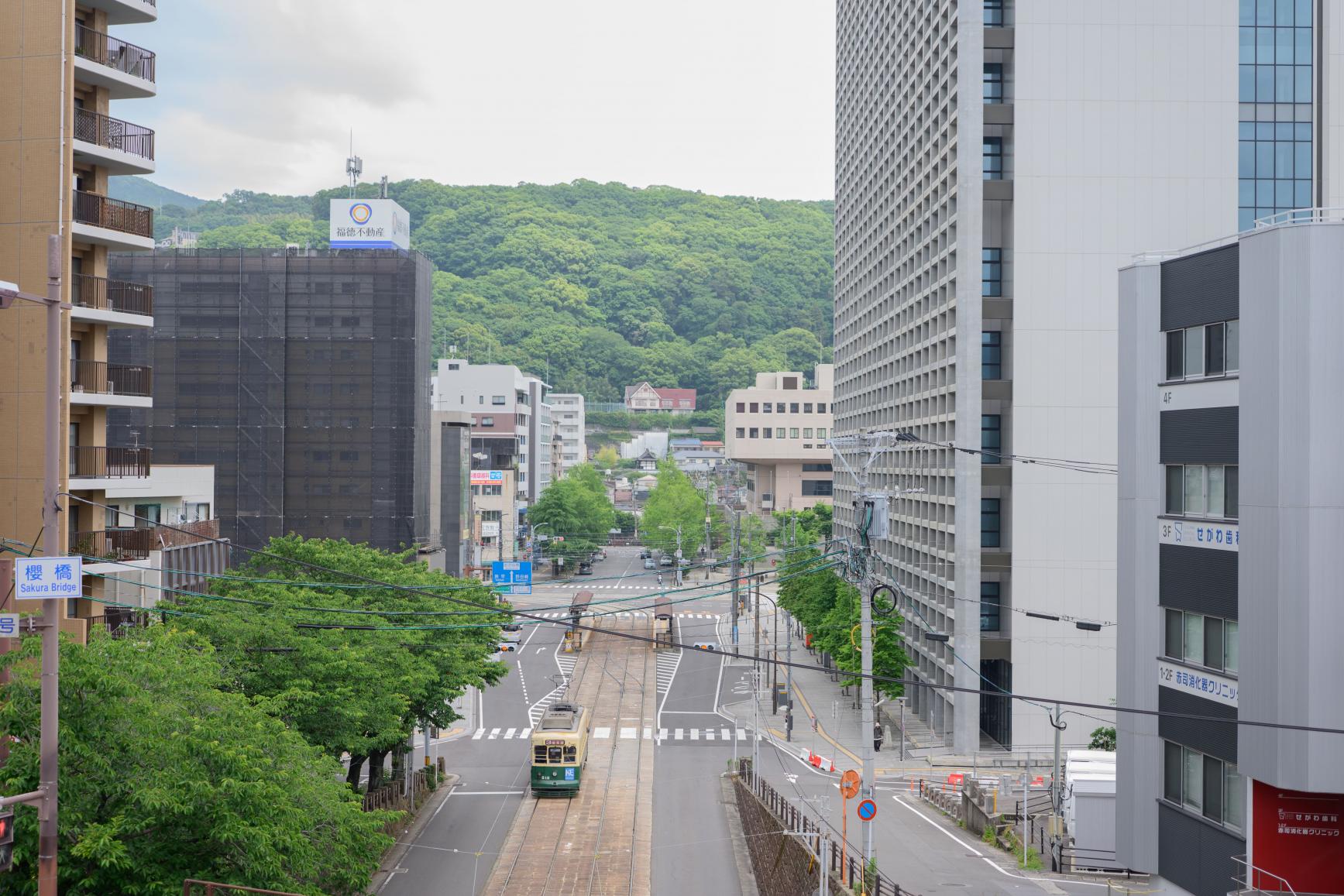 １．旧市役所前の交差点～季節とともに路面電車が撮影できるスポット～-0