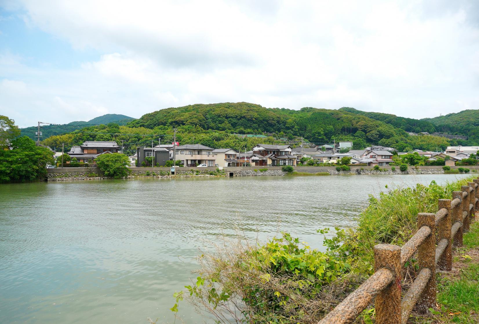 川棚川沿いの道で癒されて-1