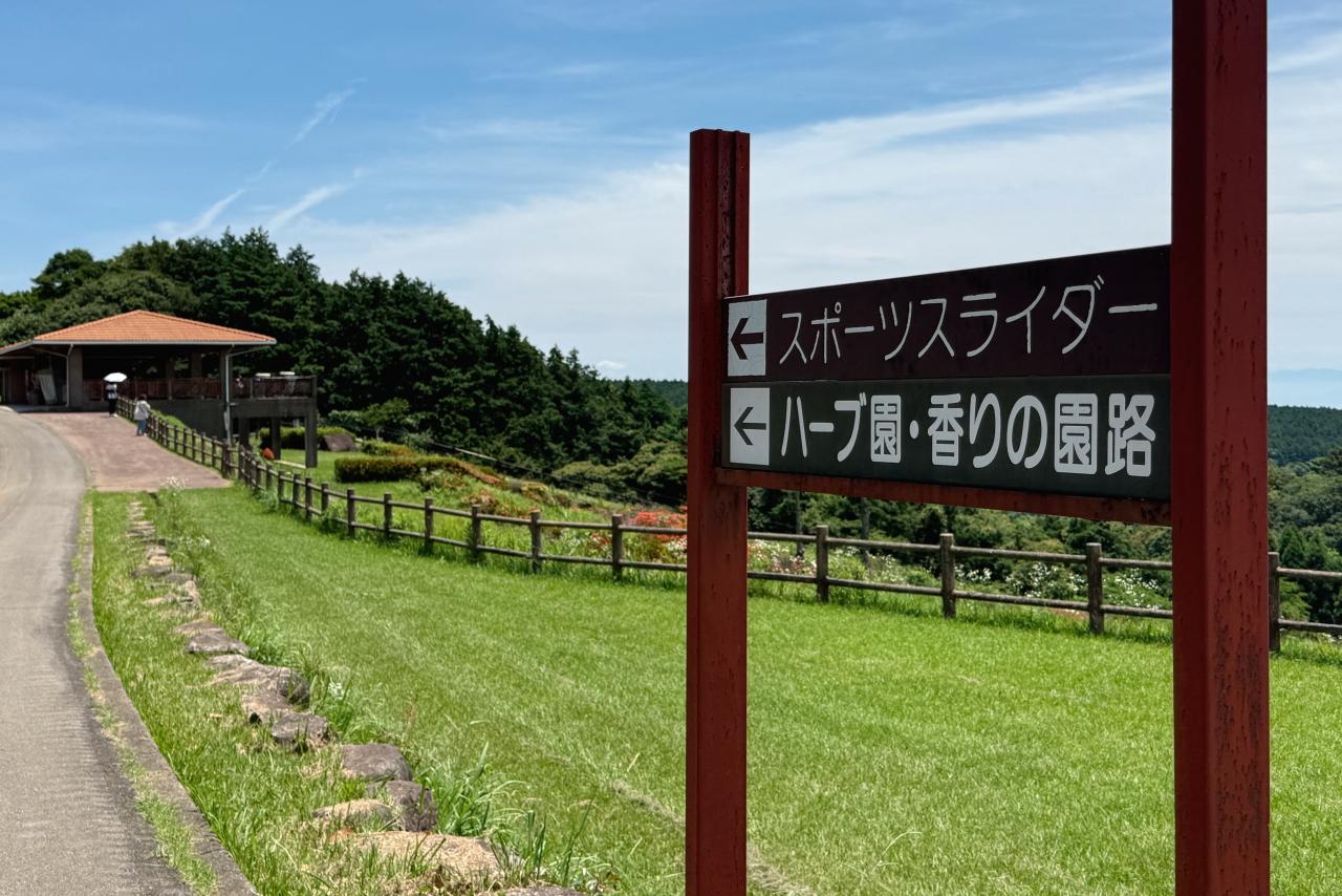【風の丘ゾーン】大型展望遊具があるのはこのゾーン-0