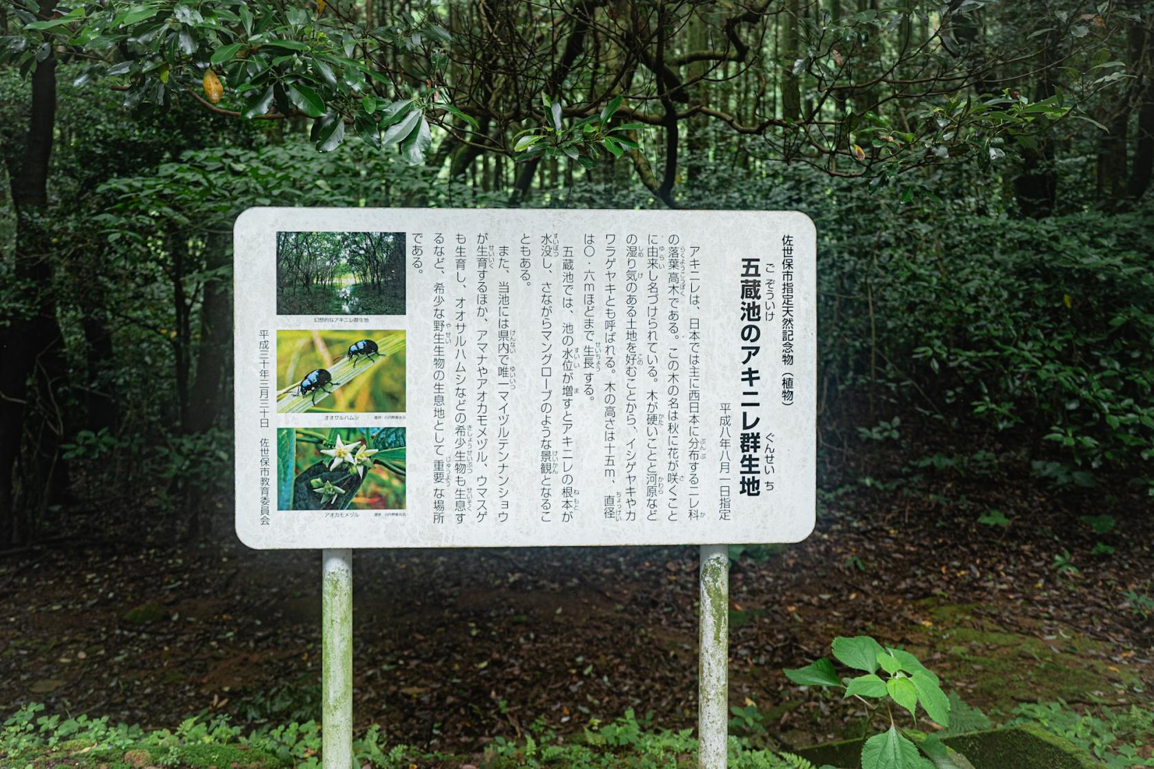 幻の池の正体！-0