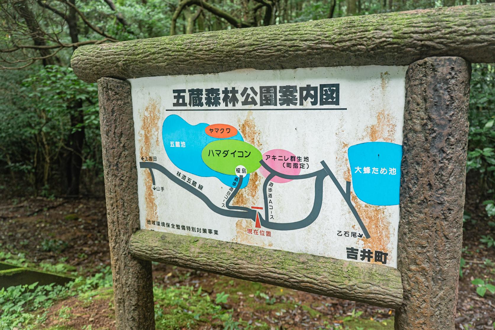 駐車場に到着！看板を目印にいざ探検スタート-3