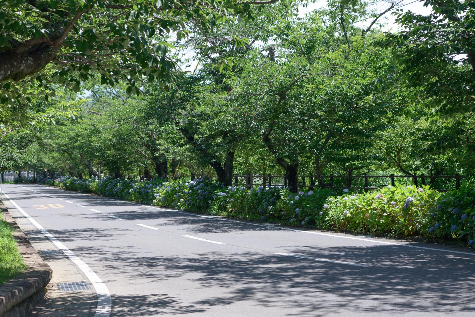 大村公園で、お城と季節の花にうっとり-5
