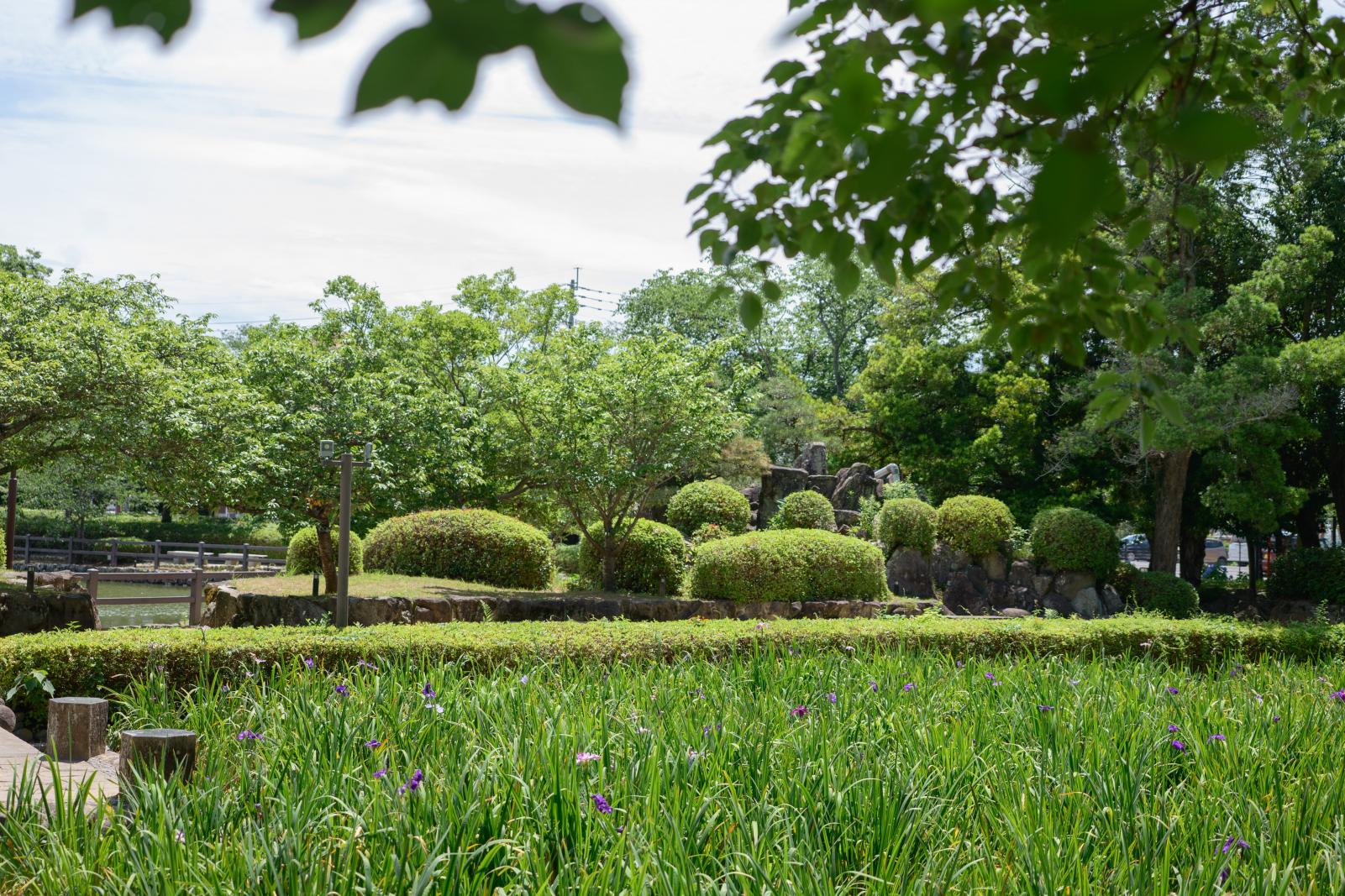 大村公園で、お城と季節の花にうっとり-4