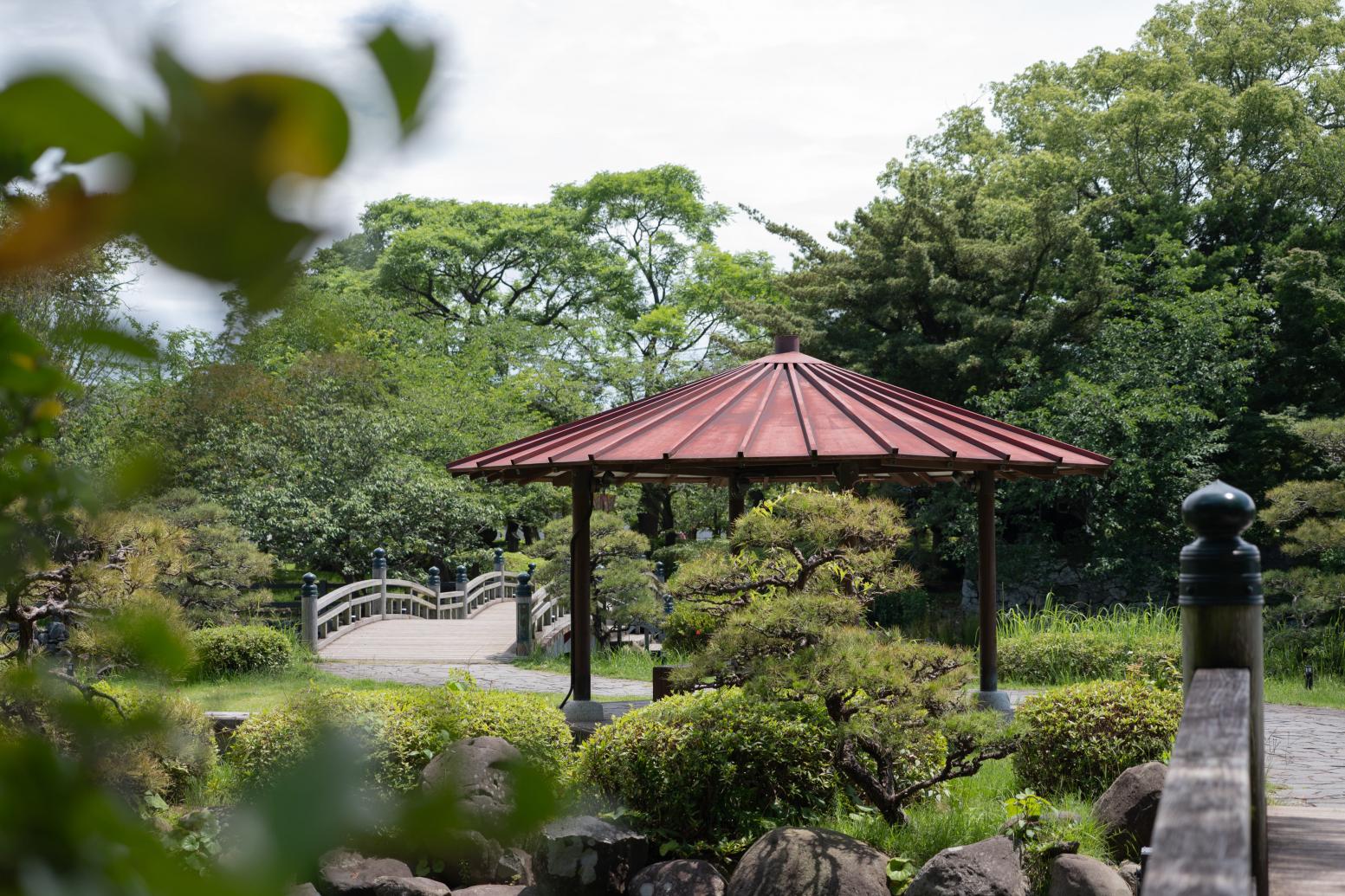 大村公園で、お城と季節の花にうっとり-1