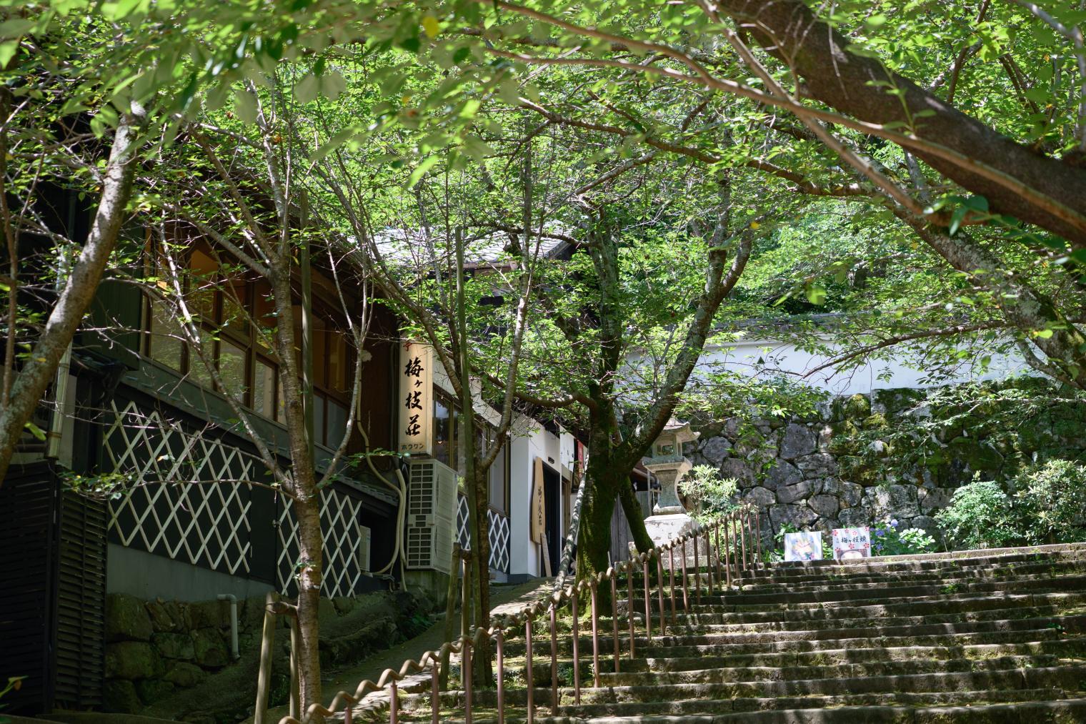 公園の中心、玖島城跡へ。焼きたて梅ヶ枝餅でひと休み♪-0