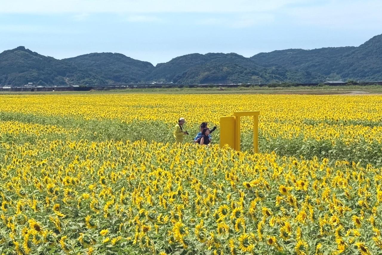 写真映えスポットの黄色いドアがかわいい！-1