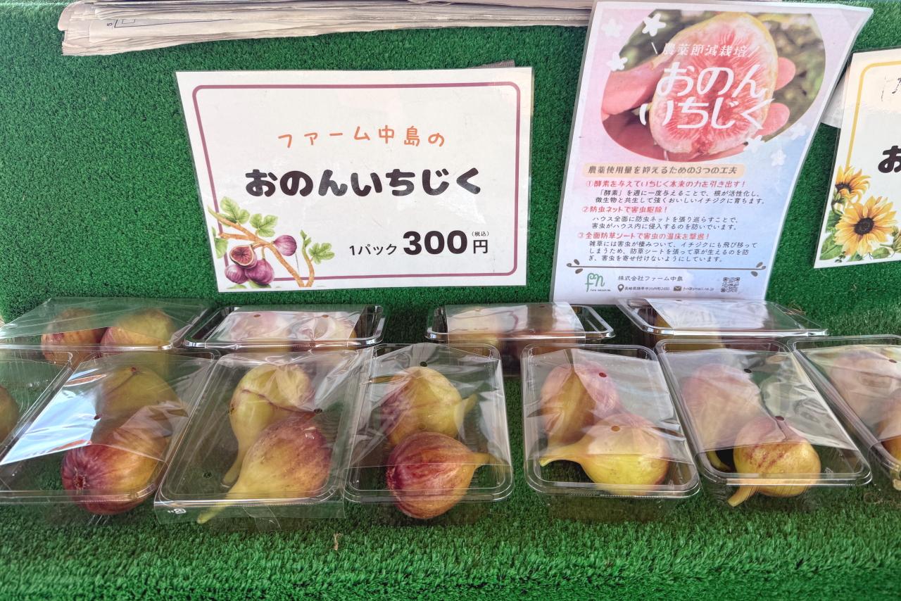 「おのんいちじく」「おのんきゅうり」のお買い求めは午前中に！-0