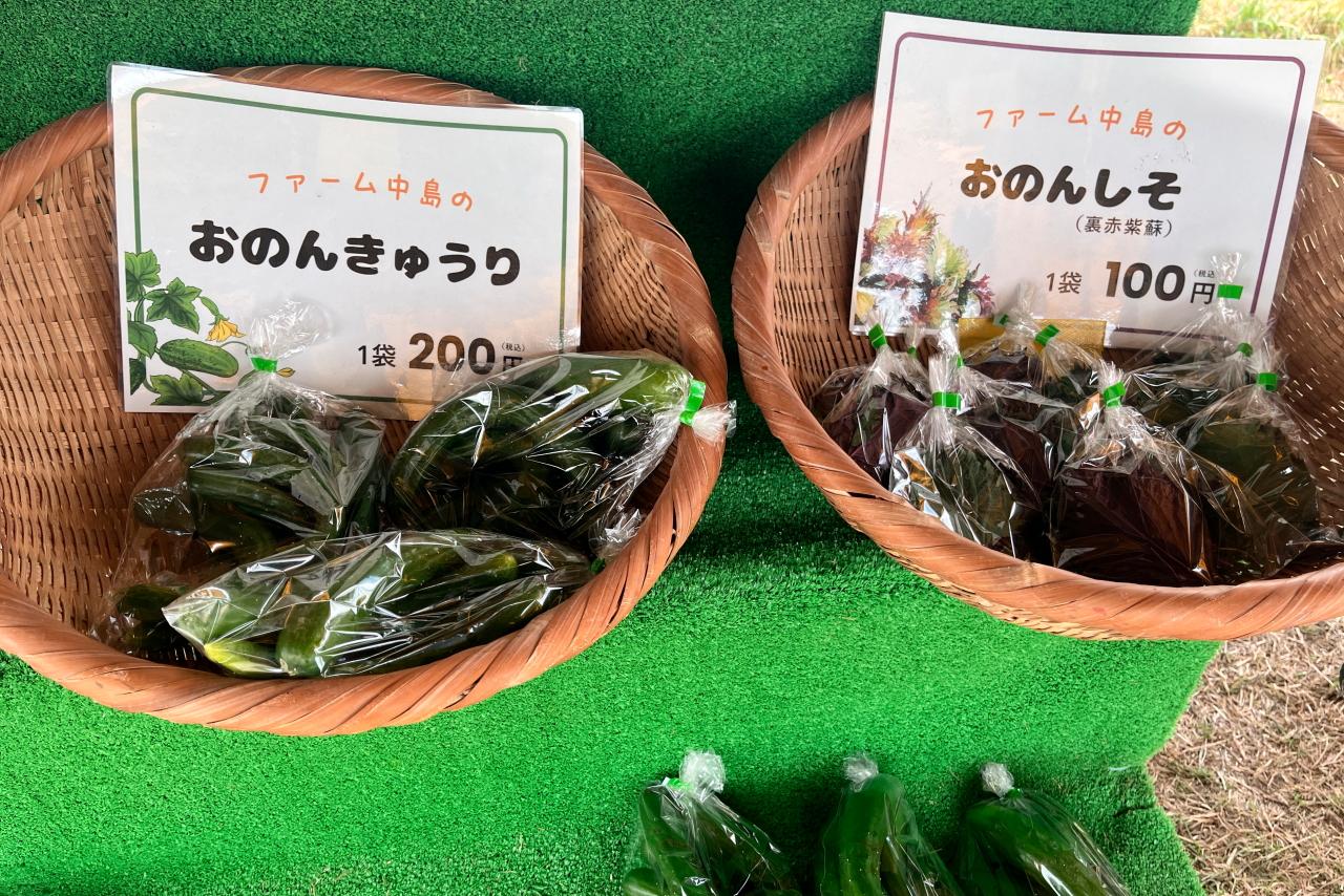 「おのんいちじく」「おのんきゅうり」のお買い求めは午前中に！-1