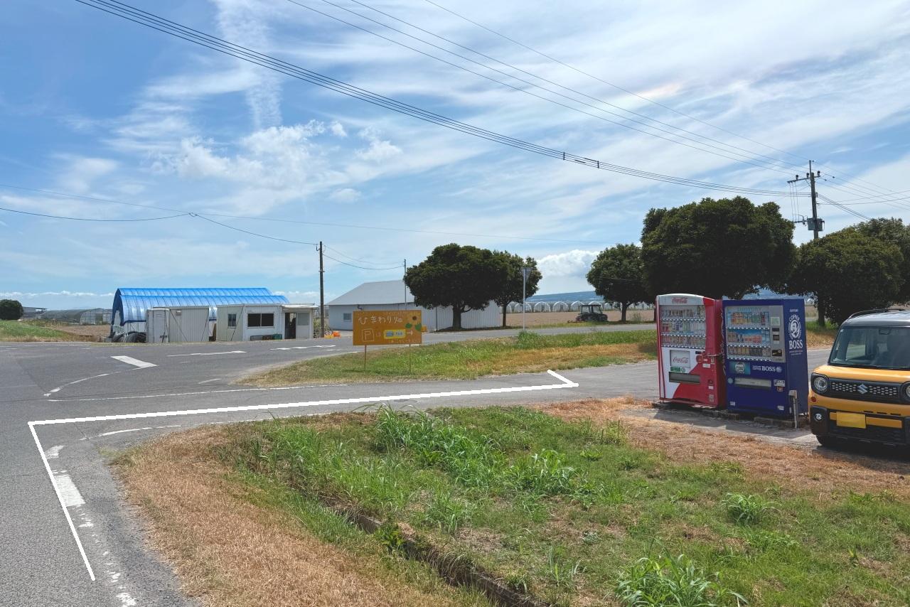 「ひまわり畑駐車場」の看板が目印-1