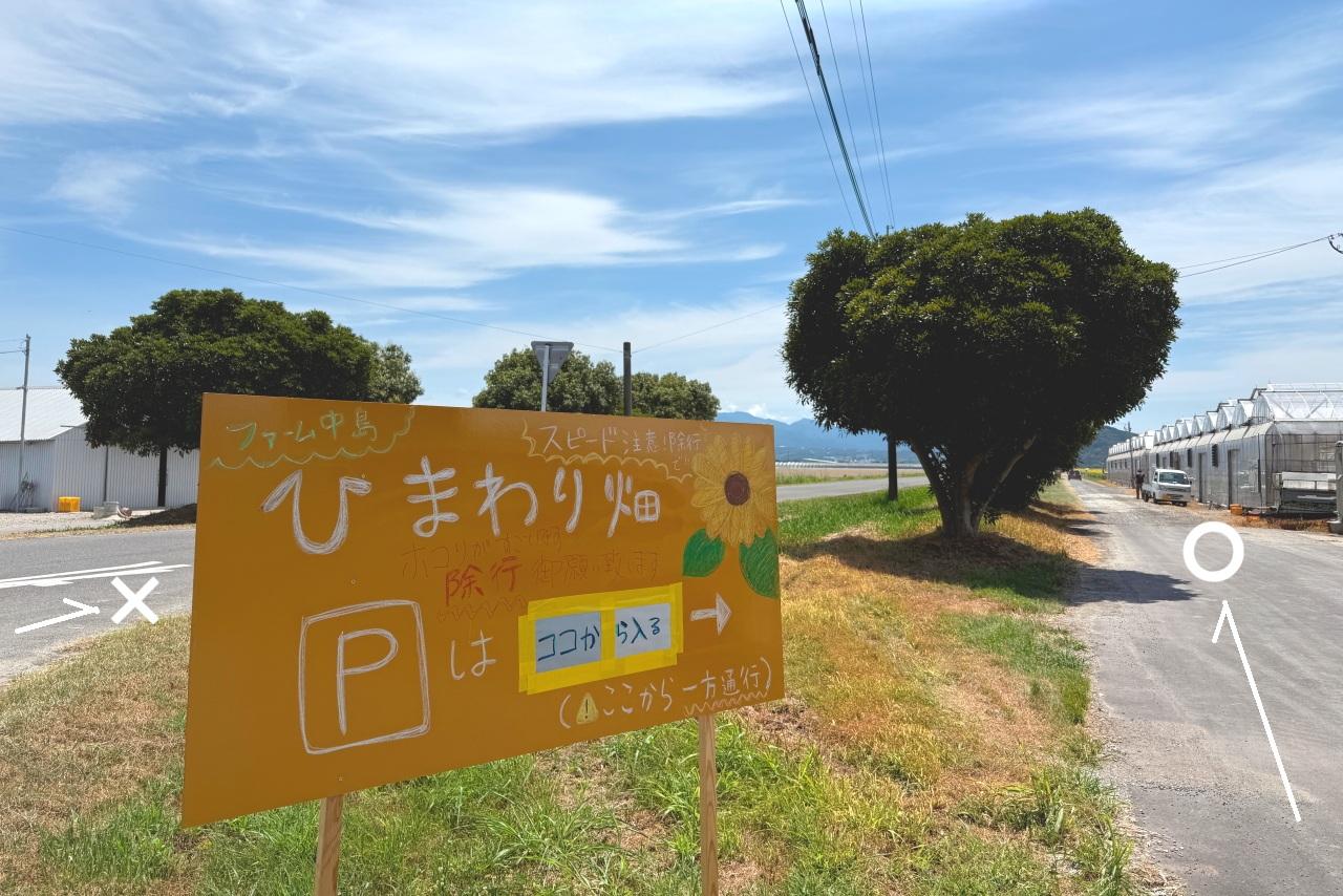 「ひまわり畑駐車場」の看板が目印-0
