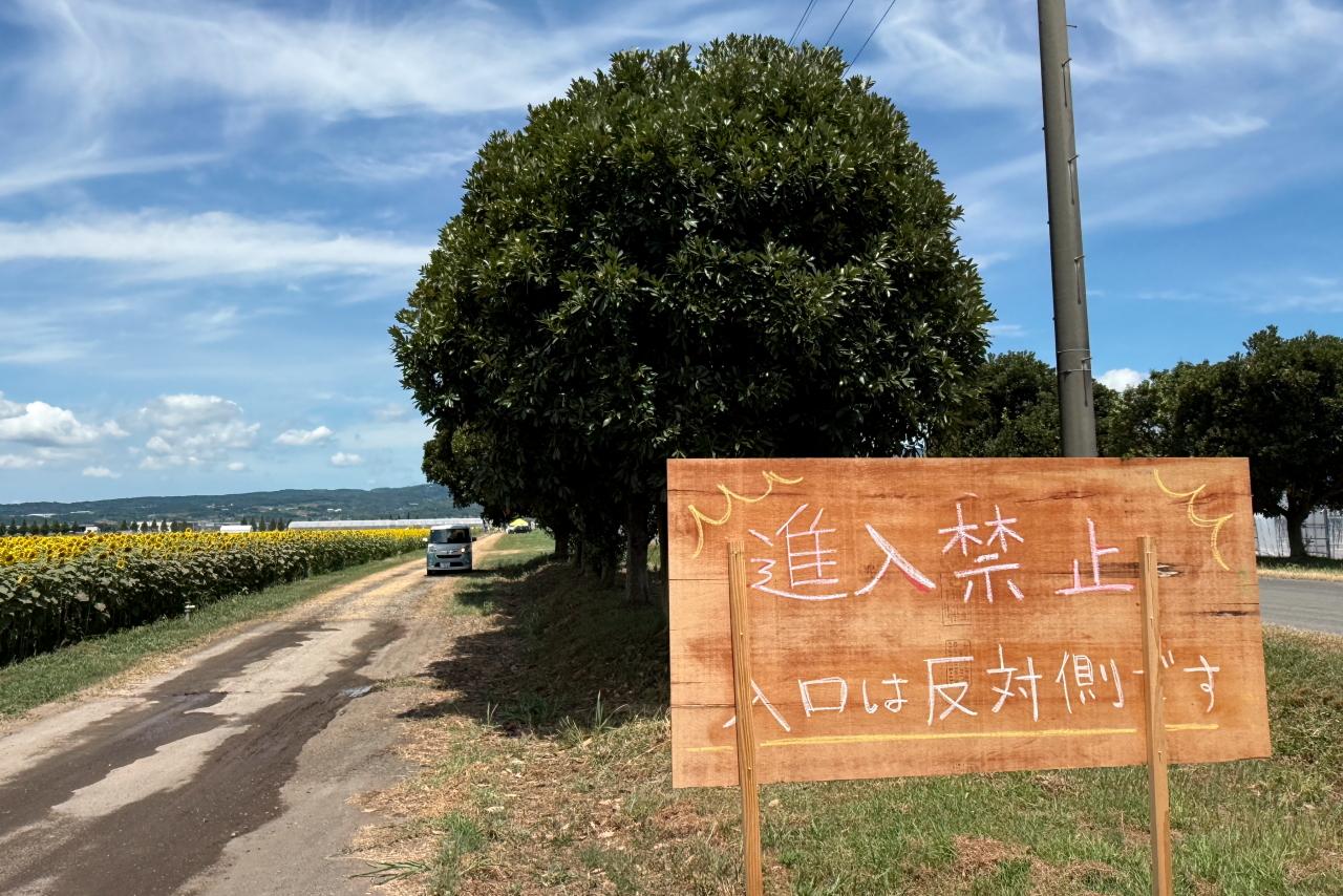 帰りは一方通行です-2