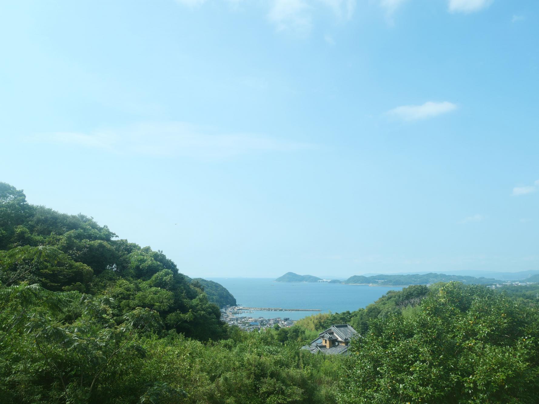 ここからが本格的ヒルクライムだった-3