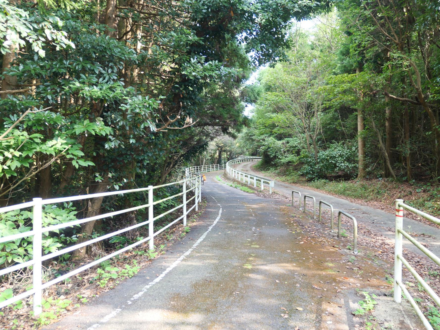 ここからが本格的ヒルクライムだった-4