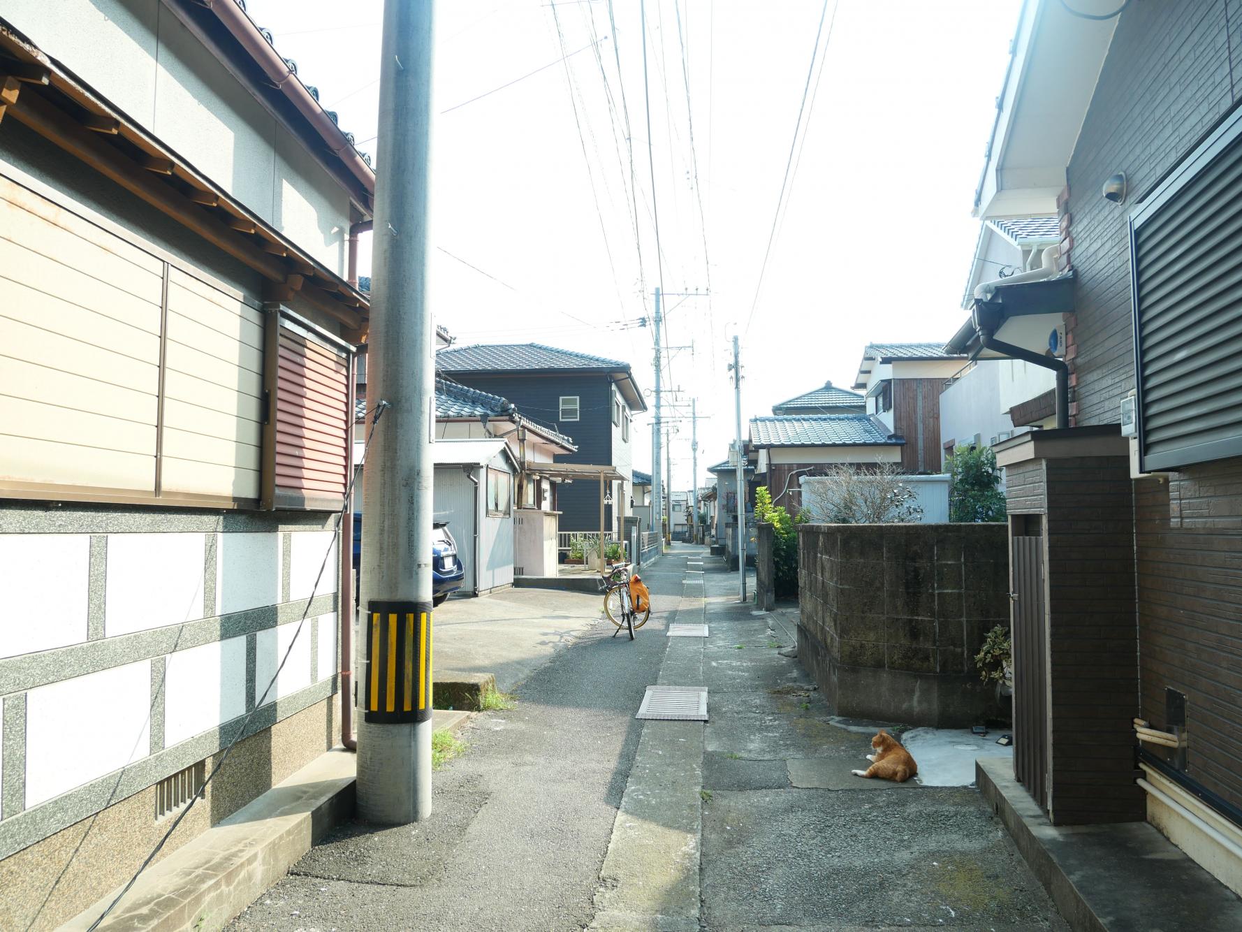 脇岬の漁師さんが営む「番家」で一泊-0