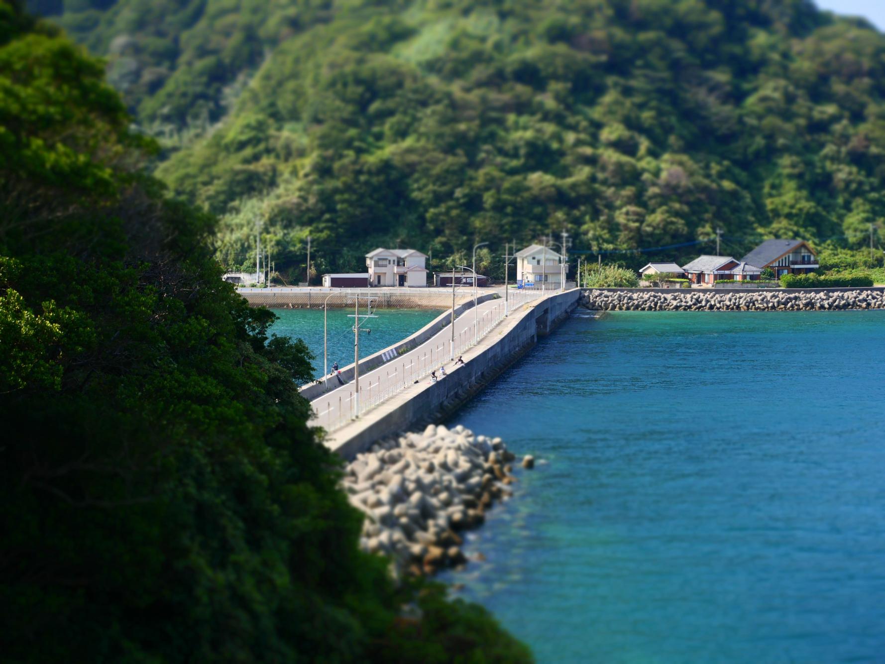 翌日は樺島へ-2