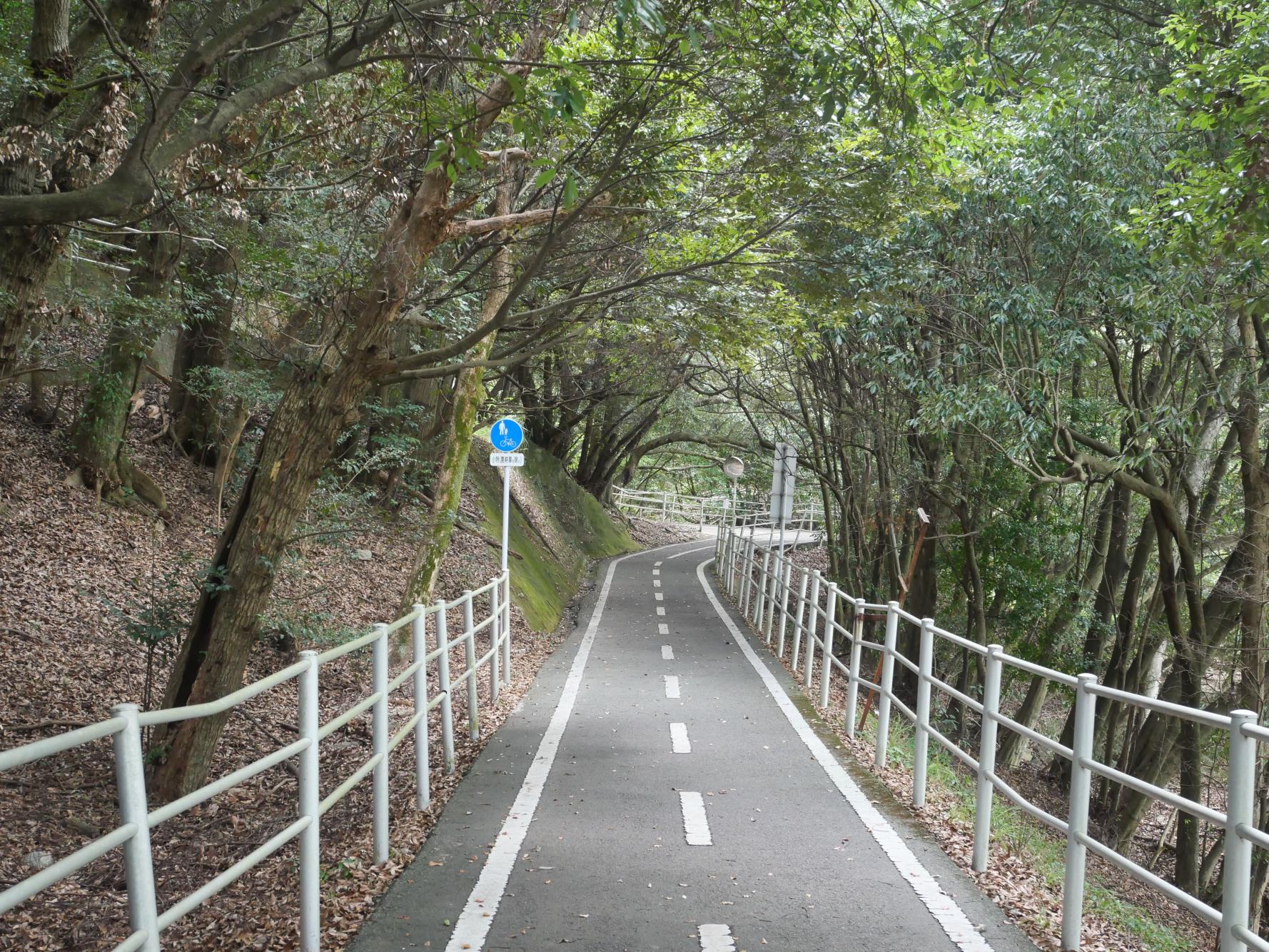 ちょっとイイ自転車とちょっと＋アルファの気合で野母崎往復はやはりとても楽しかった-0