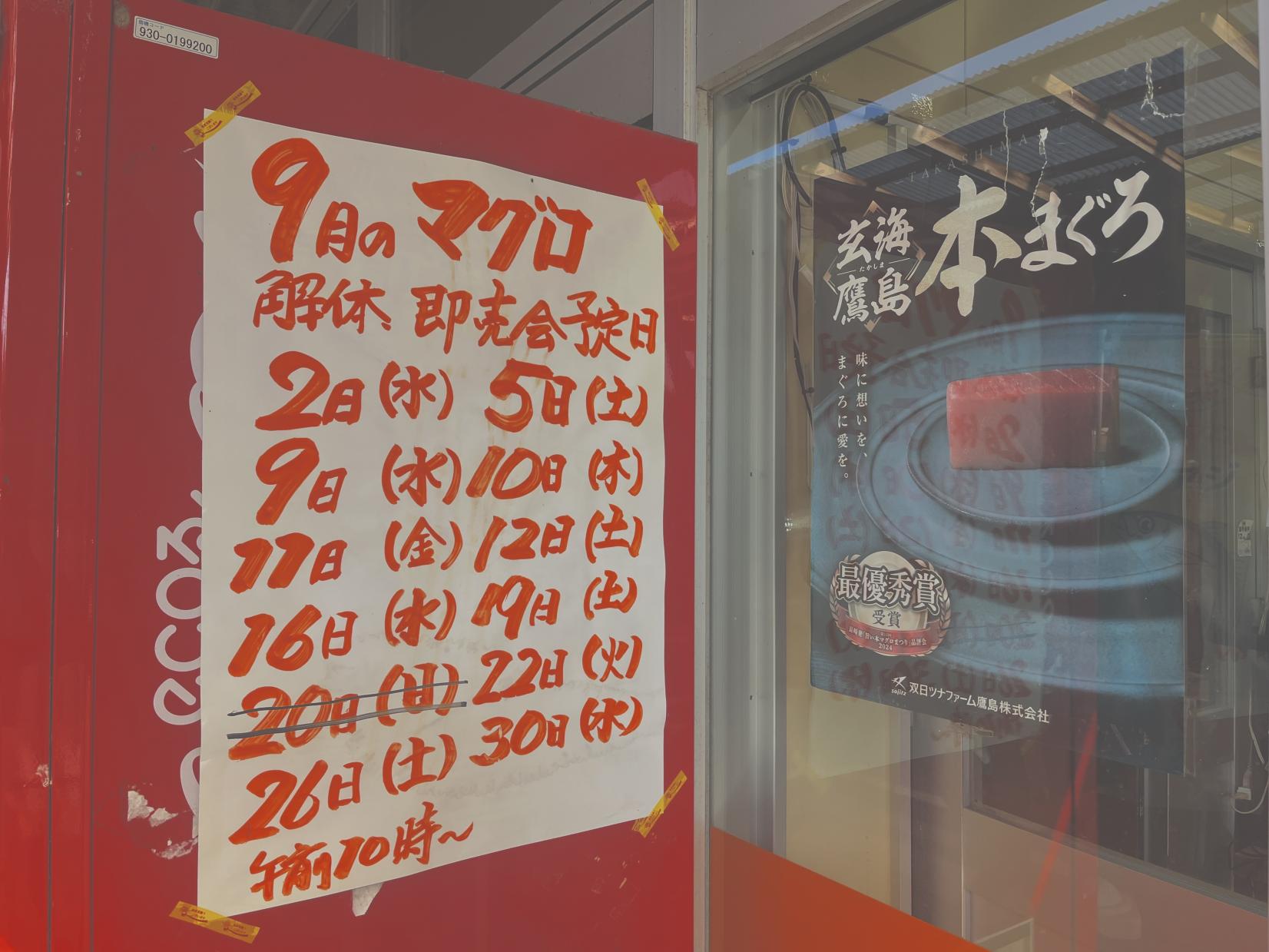 鷹島はマグロも有名-1