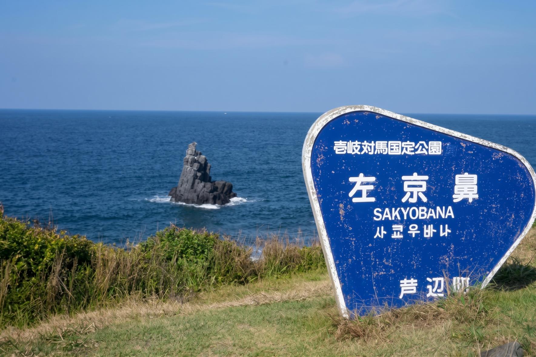 旅の締めくくりは「左京鼻」-0