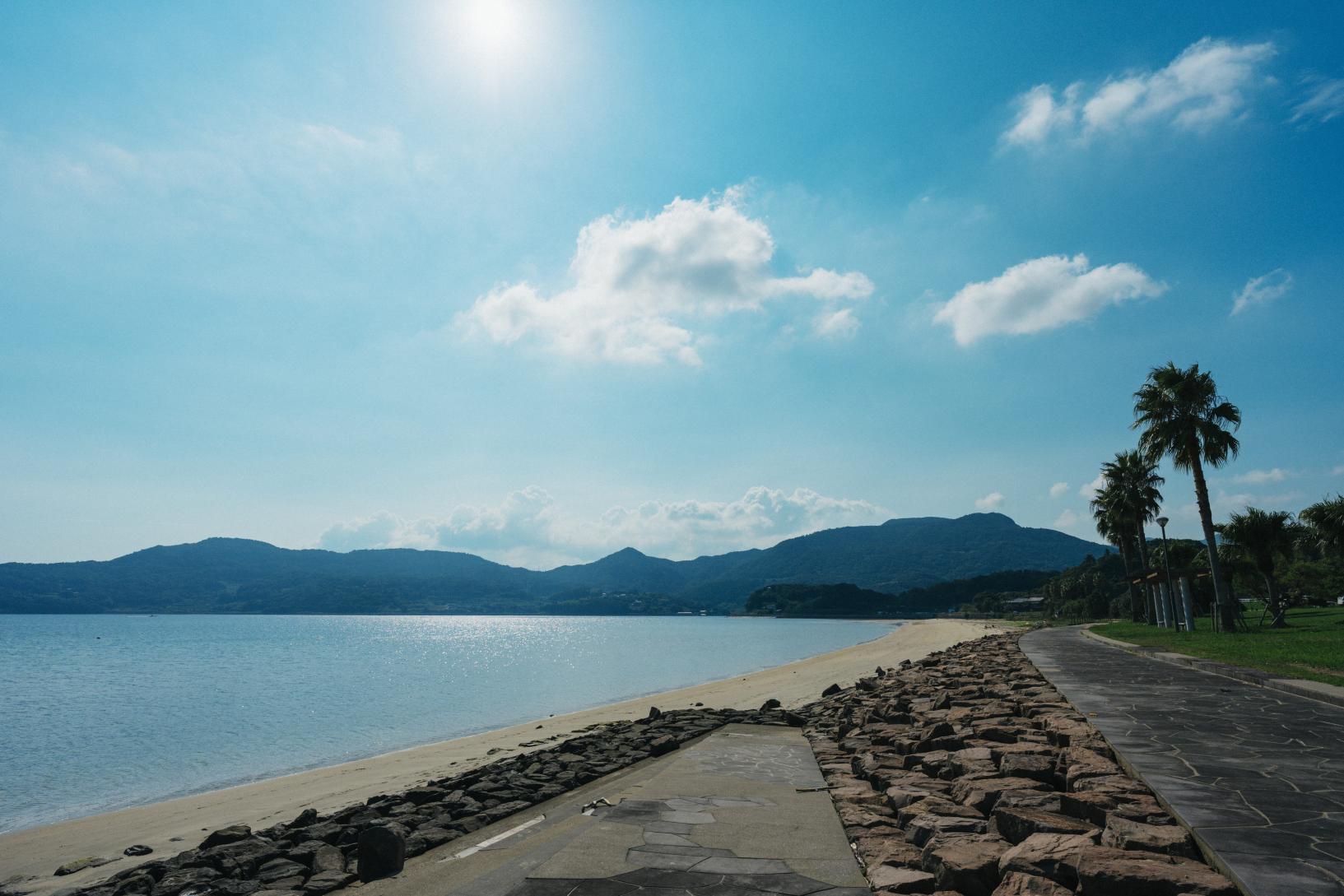 海岸沿いを戻ると白い砂浜を歩く馬に遭遇-0