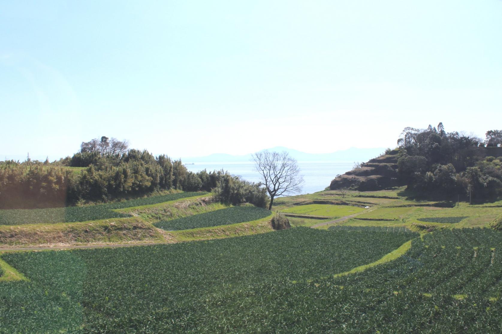 ②陸に上がり「原城跡」を歩く-0