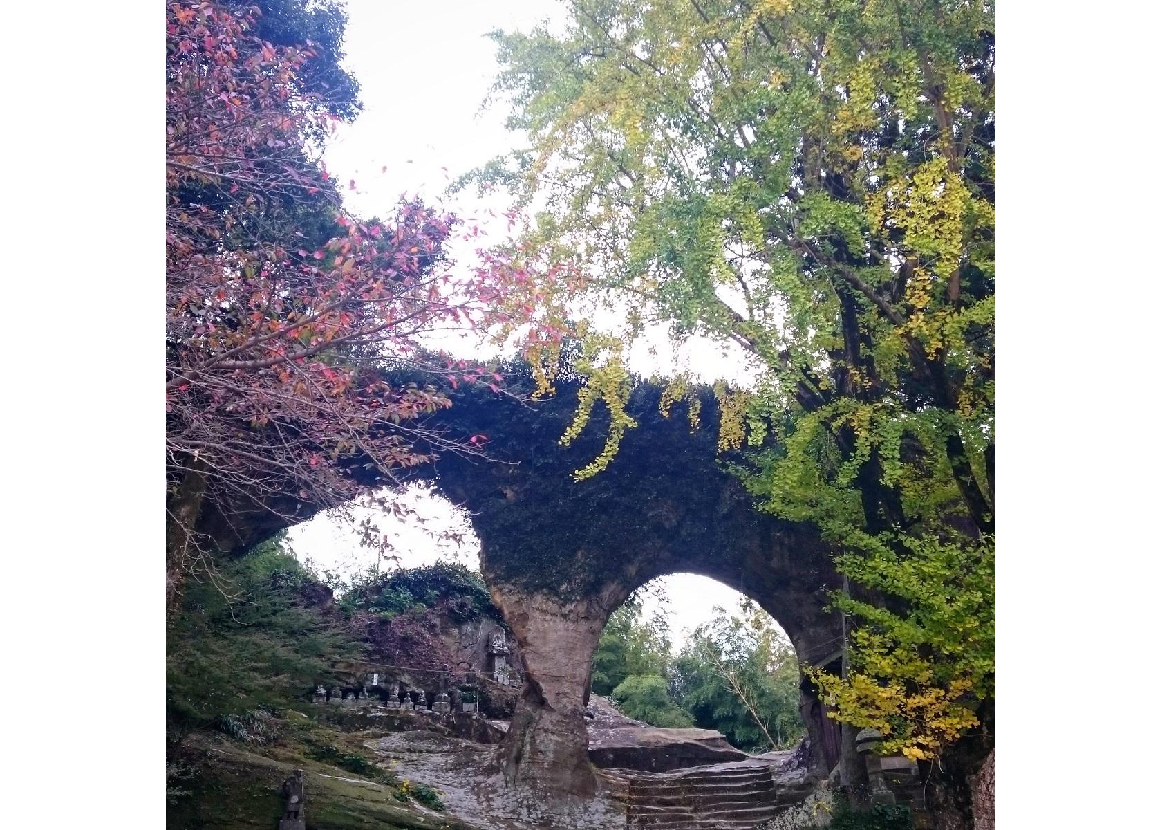 眼鏡岩-0