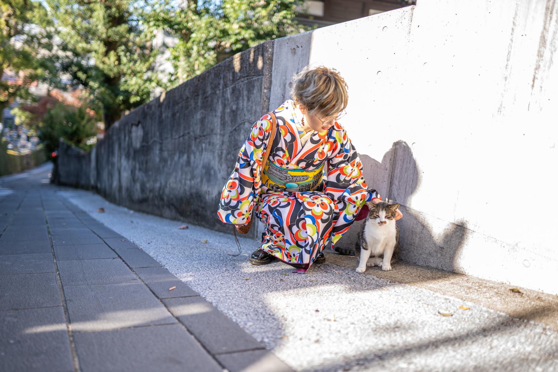 猫と一緒に…坂を歩けば癒し体験に出会うかも-0