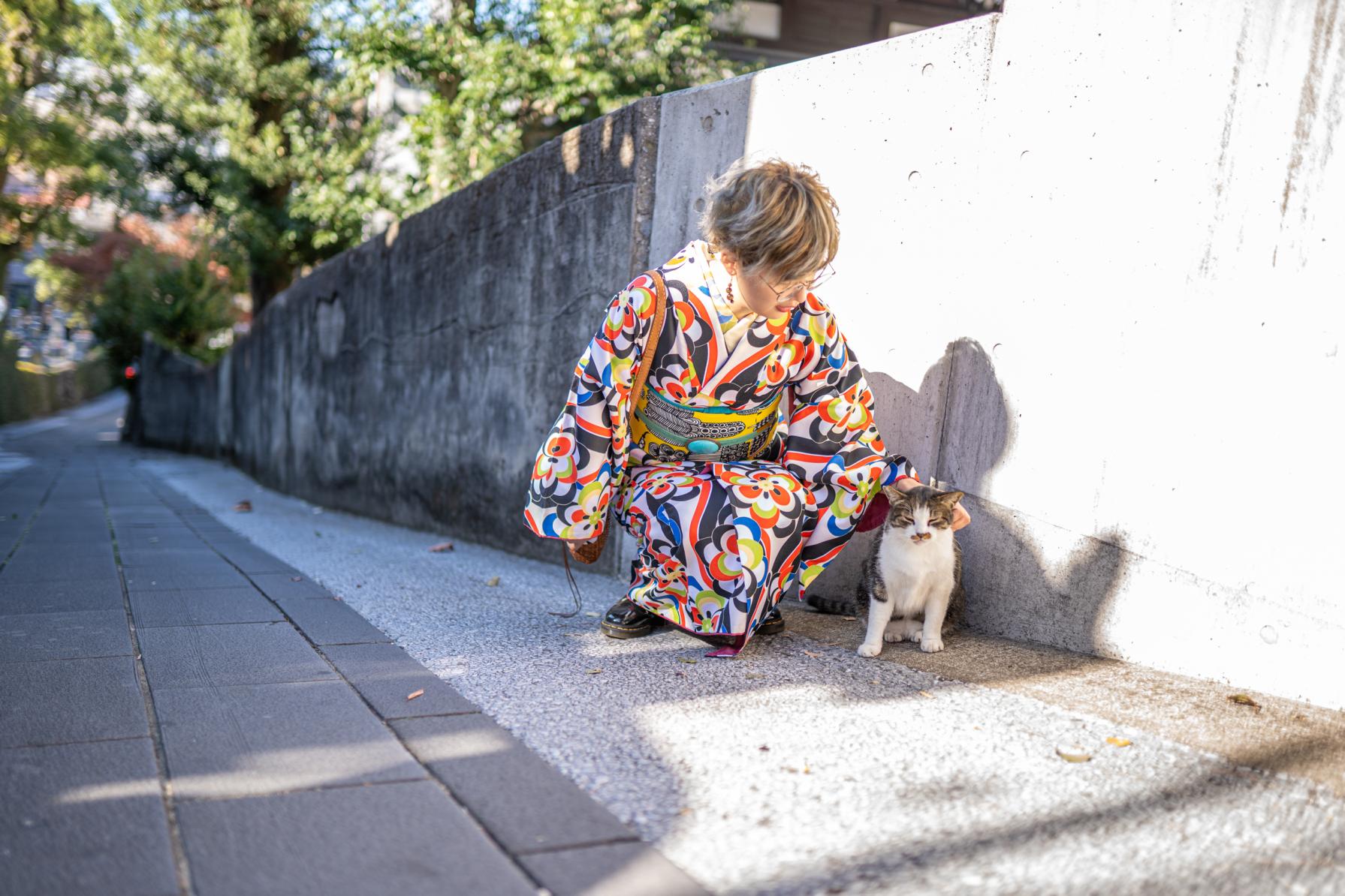 猫と一緒に…坂を歩けば癒し体験に出会うかも-0