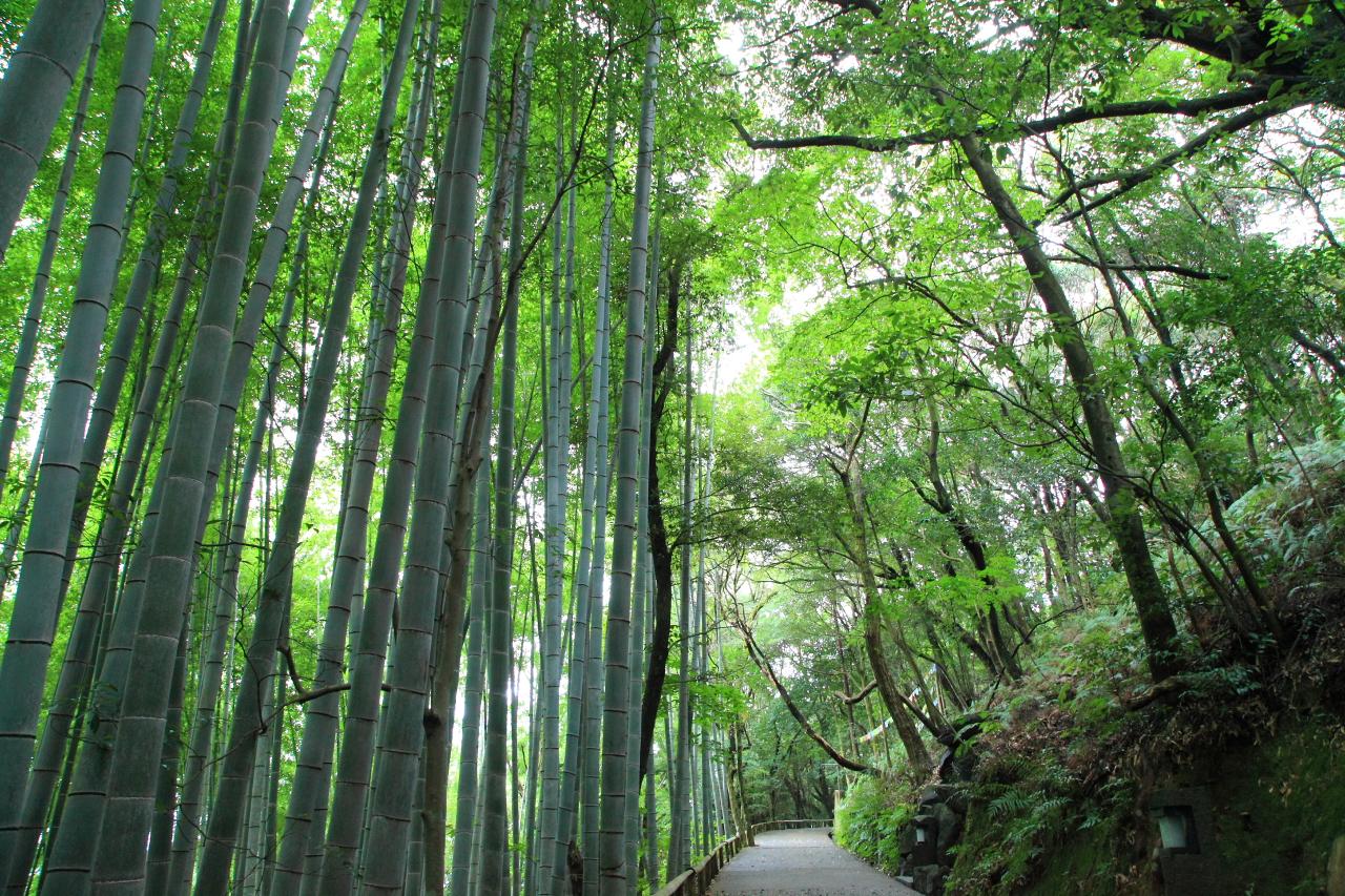 静寂感漂う荘厳なパワースポット「奥の院」-3