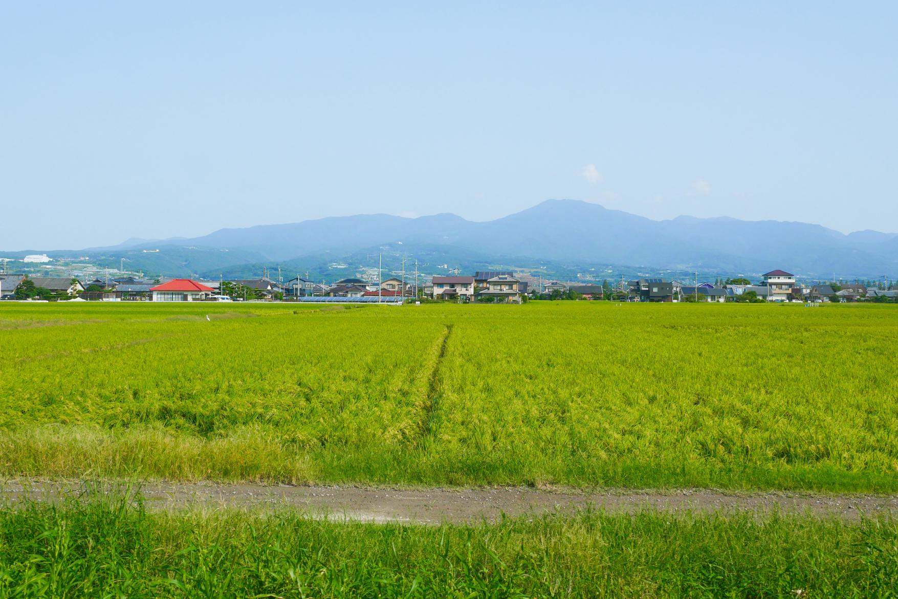 電車内でのんびり時間-3