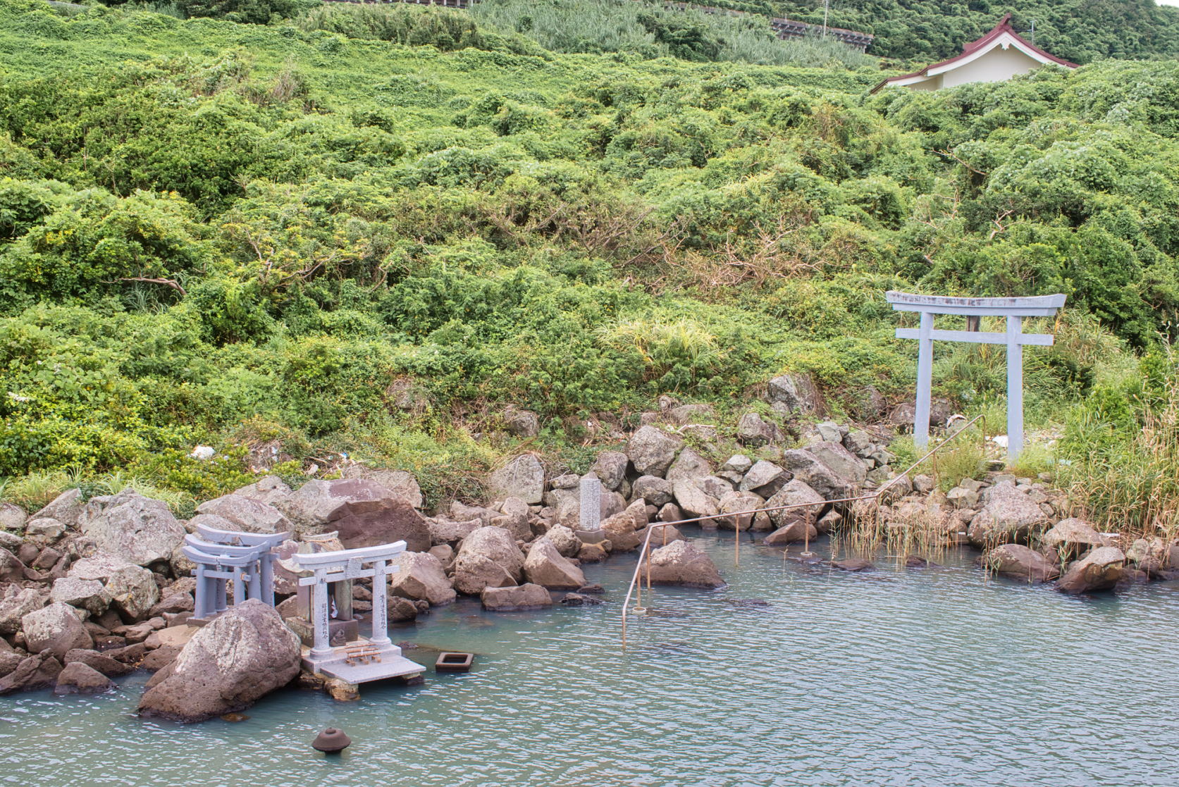 神の使いか？水天宮の白ウナギ-0