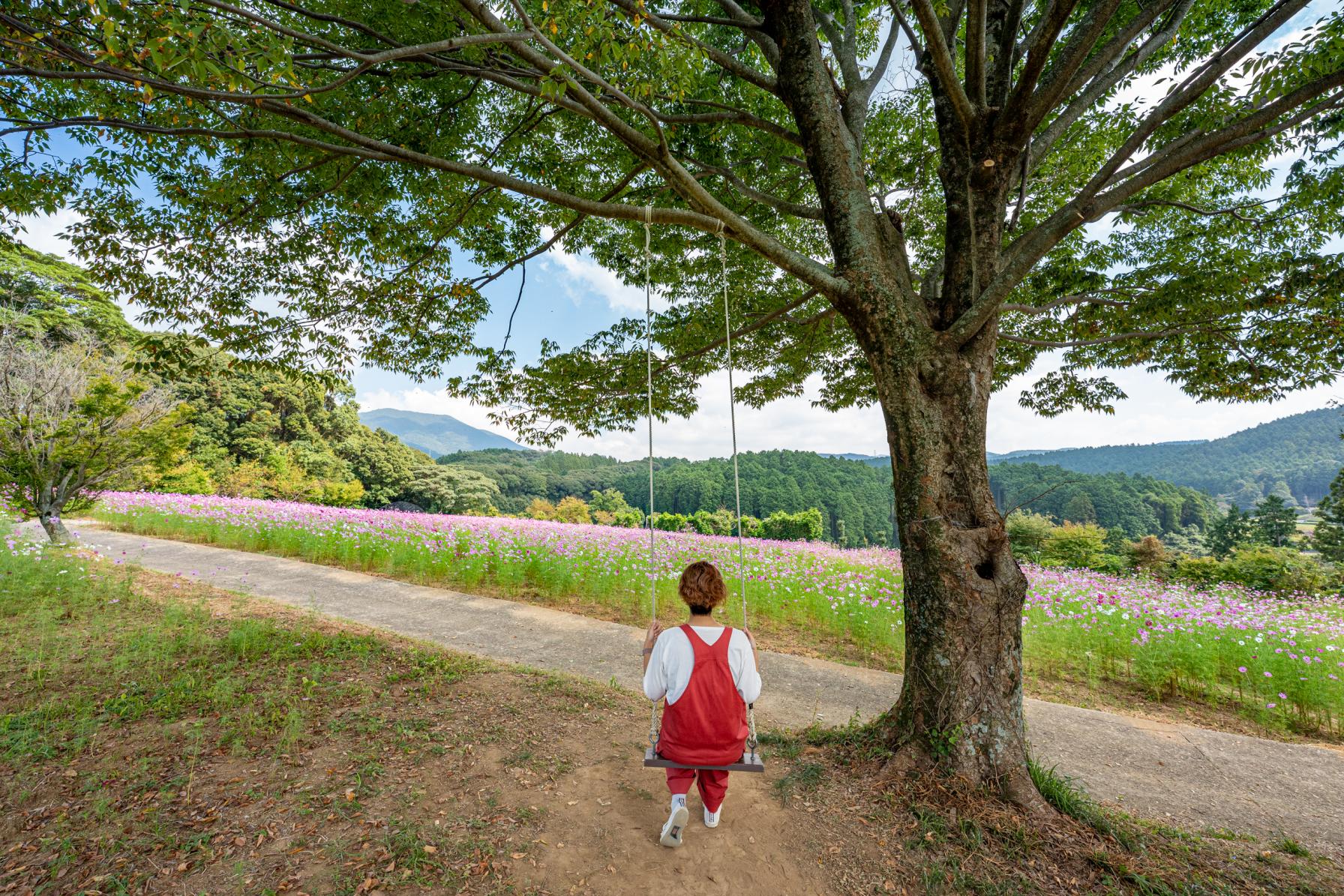 長崎県の絶景ブランコ#07 大又農園-0