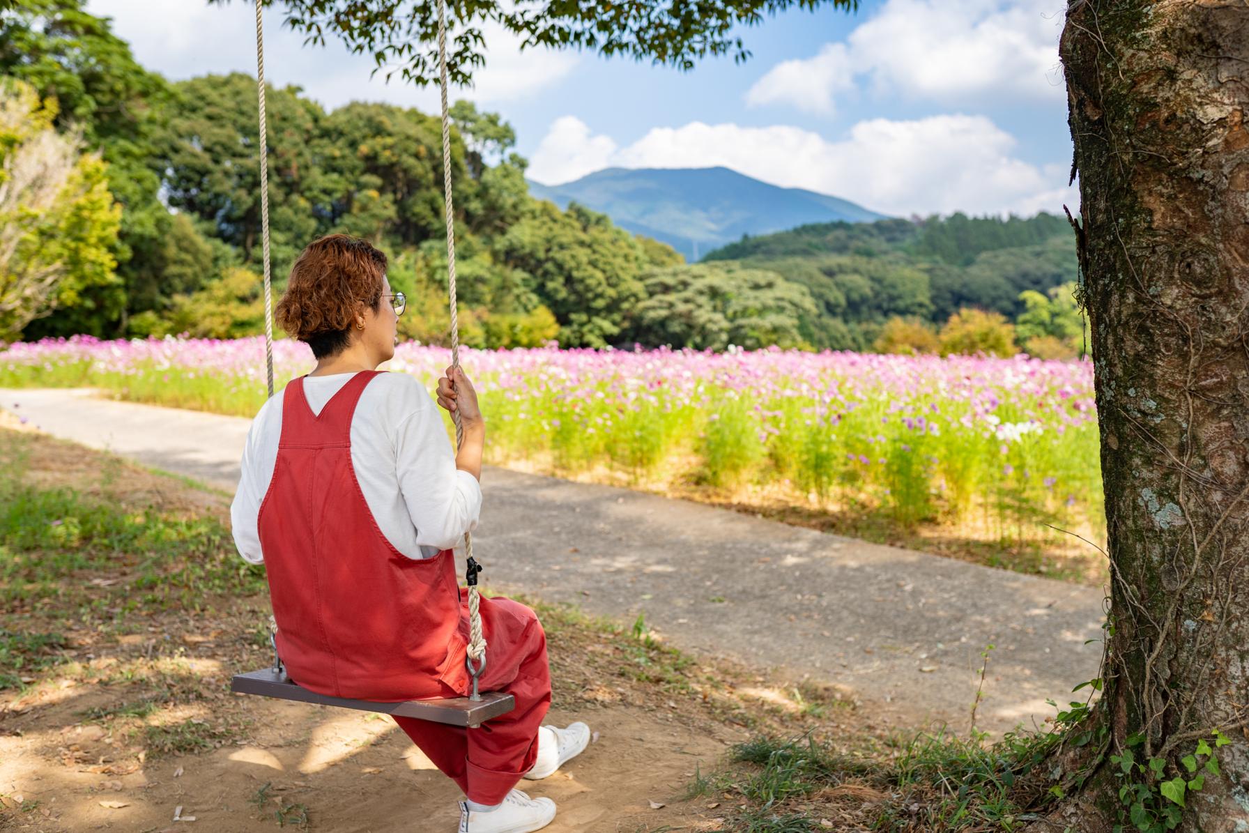 長崎県の絶景ブランコ#07 大又農園-2